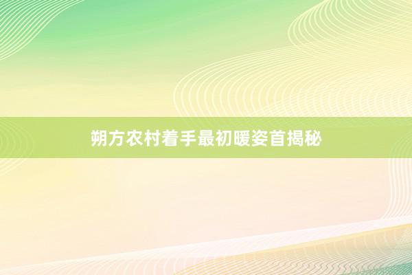 朔方农村着手最初暖姿首揭秘